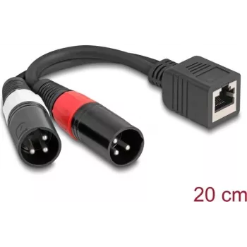 Cabo de áudio DeLOCK 0,2 m RJ-45 2 x XLR (3 pinos) preto 88179