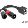 Cabo de áudio DeLOCK 0,2 m RJ-45 2 x XLR (3 pinos) preto 88179