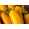 Sementes de hortícolas courgette dourada Toraf, pacote 5g