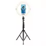 Agfa Arl11xl Ring Light LED Ring 11 polegadas + tripé + telecomando