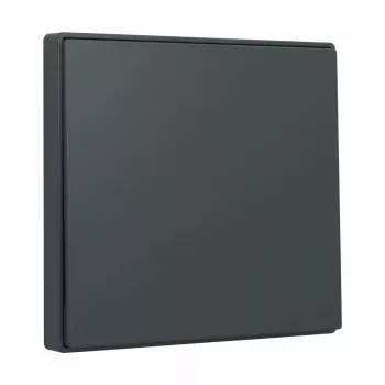 Botão basculante Gira System 55 antracite 329628 para molduras modulares
