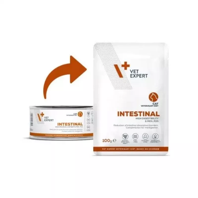 VetExpert Veterinary Diet Intestinal Cat alimento húmido para gatos 100 g