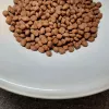 PUPIL Prime Mini rico em Vitela com Fígado – Alimento seco para cães – 1,4 kg