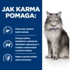 HILL'S Prescription Diet Liver Care - alimento seco para gatos - 1,5 kg