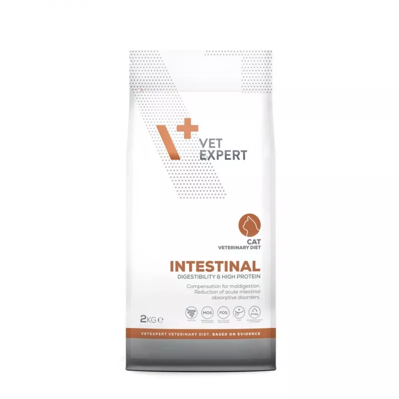 VetExpert Veterinary Diet Intestinal Cat ração seca para gatos, 2 kg