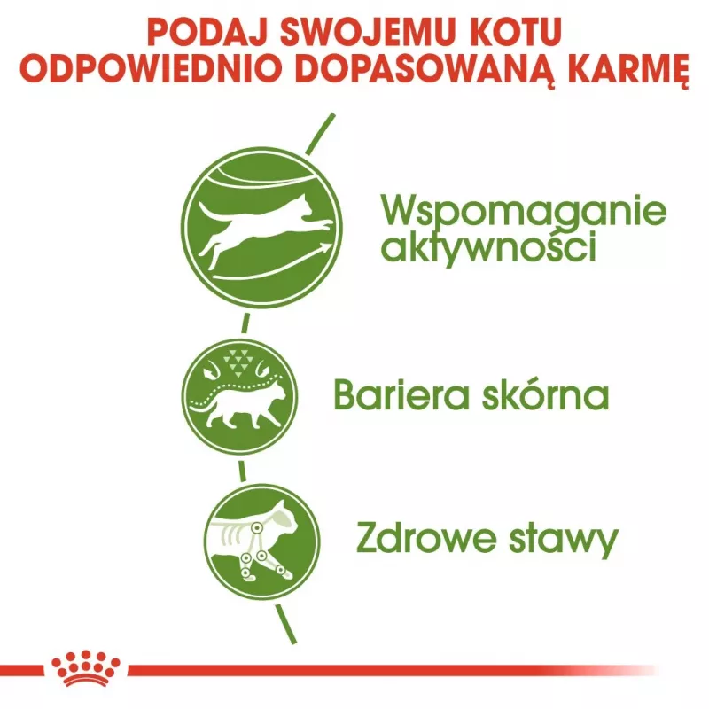 Ração seca para gatos Royal Canin Active Life Outdoor 4 kg — adulto, aves, 30% proteína, 20% gordura