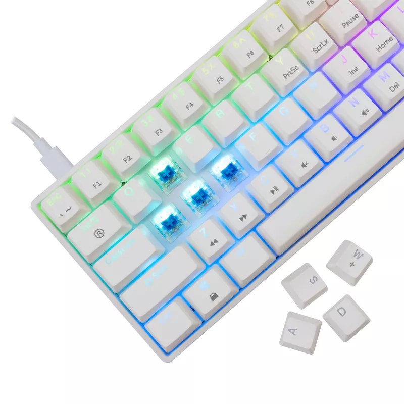Teclado mecânico com fios White Shark Shinobi-2 (GK-004221) — interruptores azuis, branco, layout US