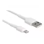 Cabo de carregamento USB DeLOCK 87866 para iPhone iPad iPod 30 cm