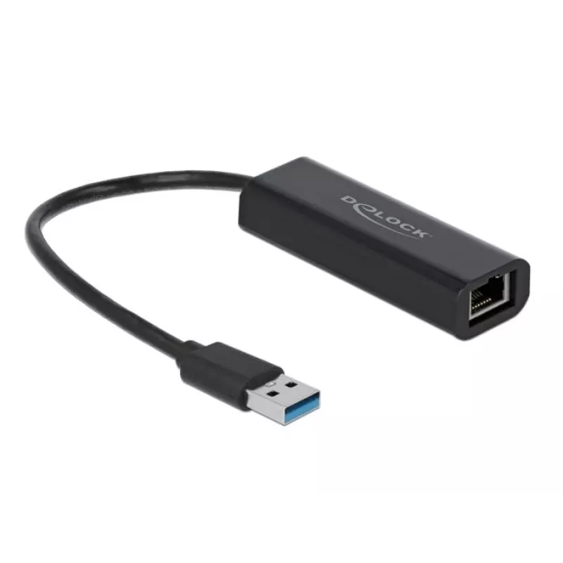 DeLOCK 66299 adaptador USB-A para LAN 2,5 Gigabit