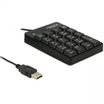 Teclado numérico DeLOCK 12481 universal USB preto