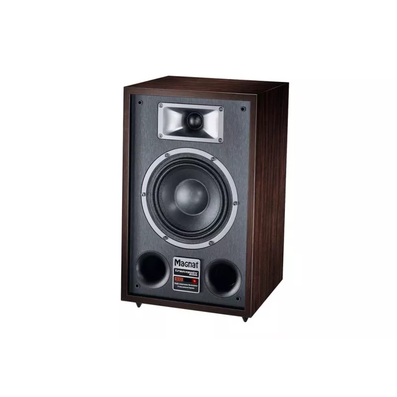Coluna de chão Magnat TRANSPULS 800A, 2 vias com fios e sem fios, 2×60 W, Bluetooth 5.0, HDMI, preto/castanho