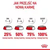 Royal Canin Kitten comida seca para gatos 2 kg