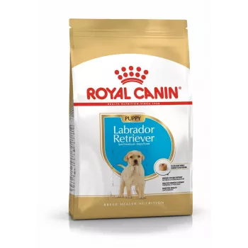 ROYAL CANIN SHN Breed Labrador Junior comida seca para cães - 12 kg