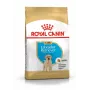 ROYAL CANIN SHN Breed Labrador Junior comida seca para cães - 12 kg