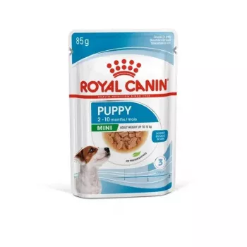 ROYAL CANIN SHN Mini Puppy in Sauce - Comida húmida para cachorros - 12X85g
