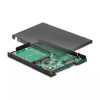 Placa de interface DeLOCK 62866 interna M.2 mSATA