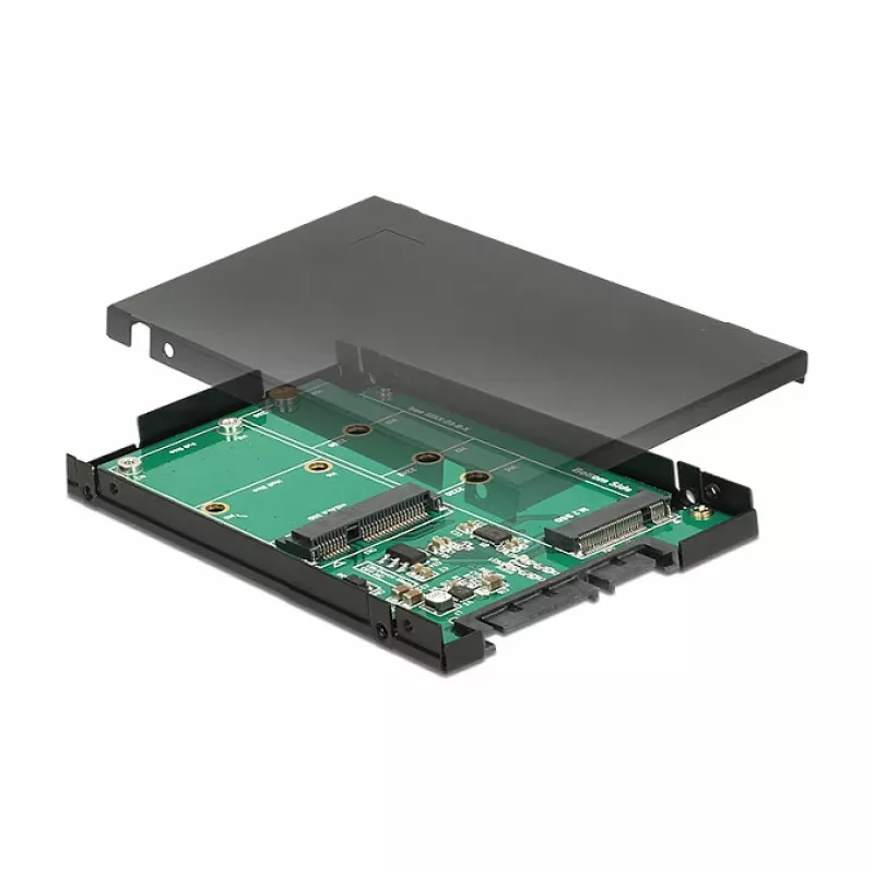 Placa de interface DeLOCK 62866 interna M.2 mSATA
