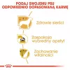 ROYAL CANIN BHN Yorkshire Terrier Adult - Comida seca para cães - 3kg
