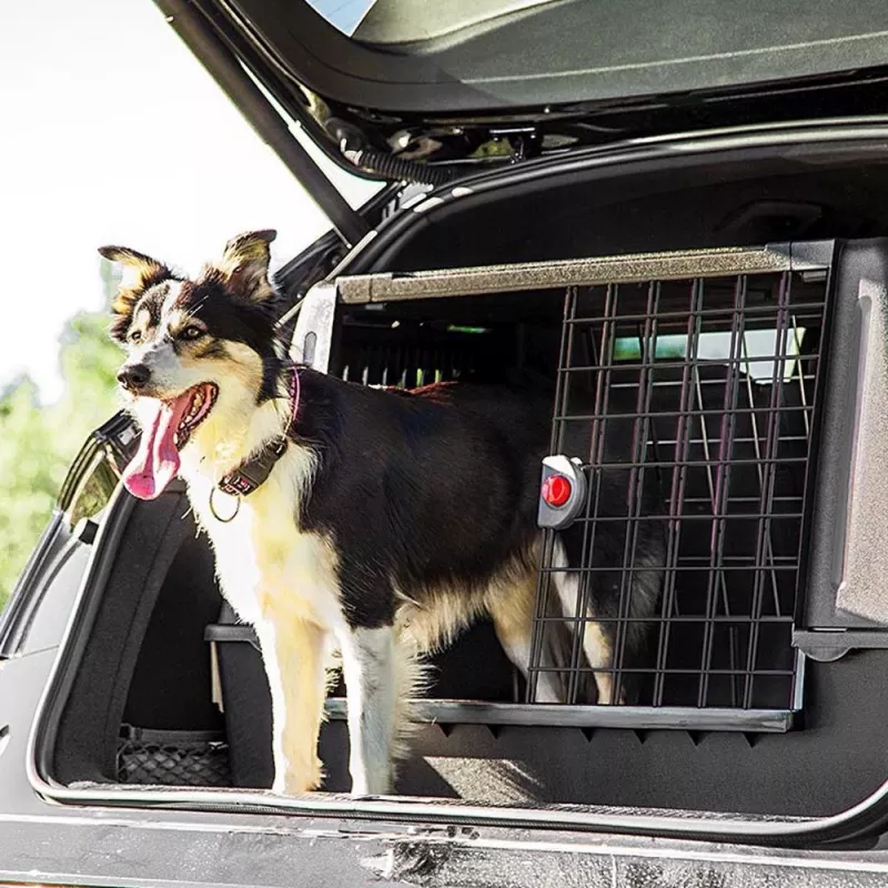 FERPLAST Atlas Car 100 Scenic, caixa de transporte de animais para o carro