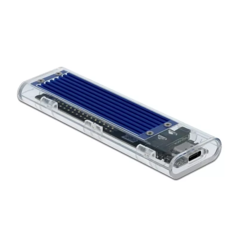 Caixa para SSD DeLOCK 42620 caixa externa para SSD M.2 NVME PCIe com conector fêmea USB Type-C, transparente