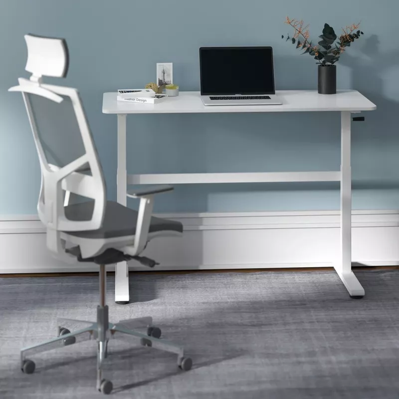 Secretária ajustável em altura manualmente Ergo Office, máx. 40 kg, altura máx. 117 cm, com tampo para trabalho de pé e sentado, ER-401 W
