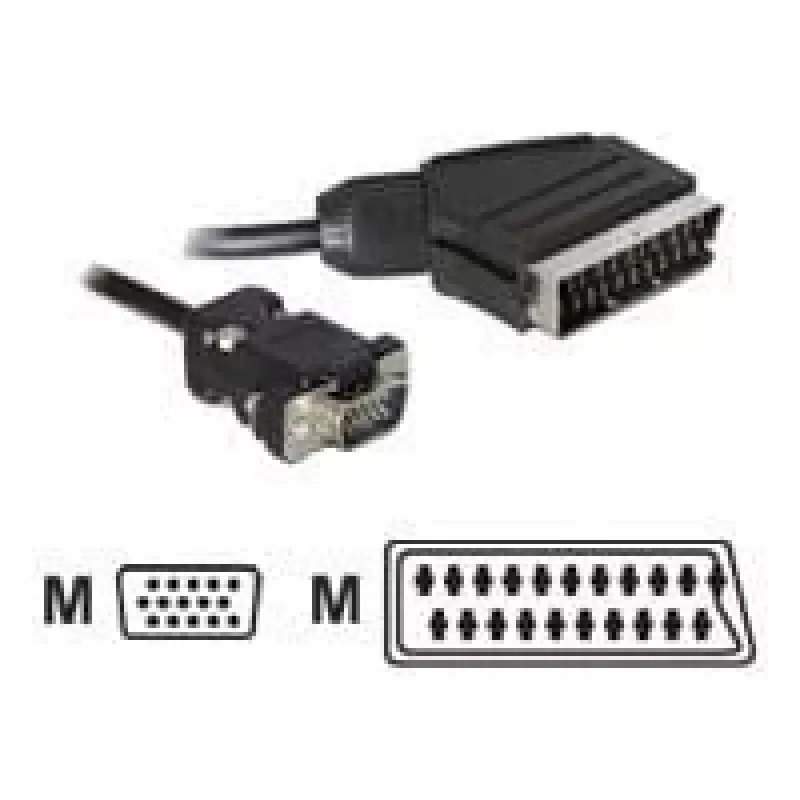 Adaptador de cabo de vídeo DeLOCK 65028 SCART (21 pinos) para VGA (D-Sub) 2 m