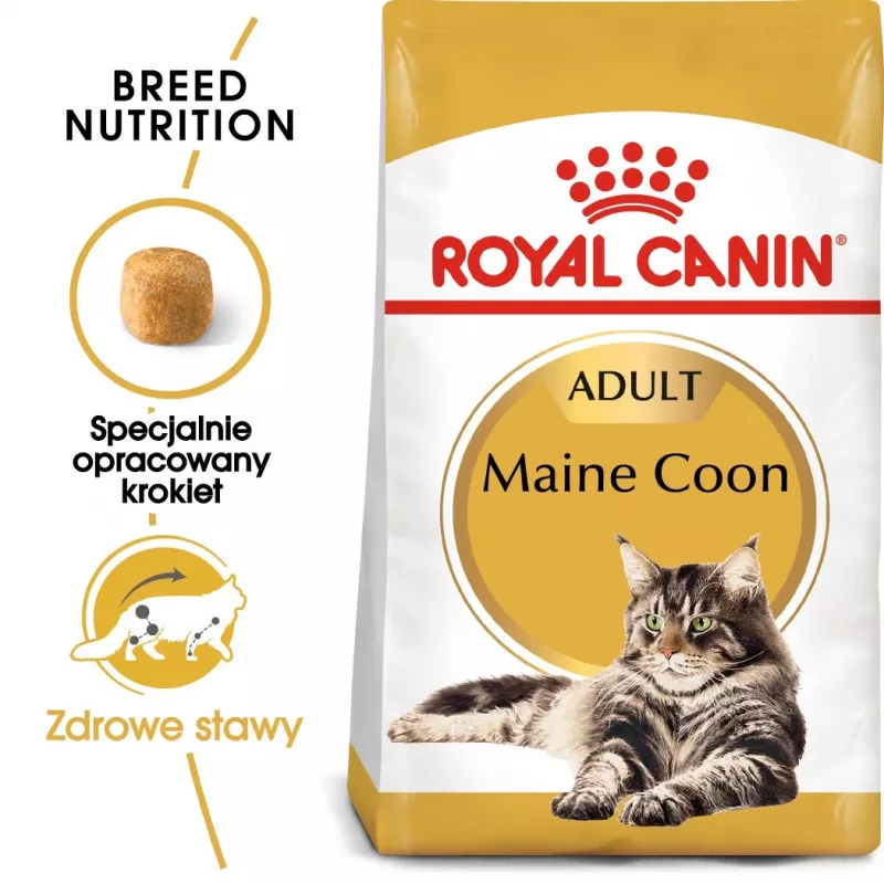 Royal Canin FBN Maine Coon Adult alimento seco para gatos, 4 kg