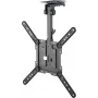 Goobay Suporte de teto para TV Basic (M), preto (70824)