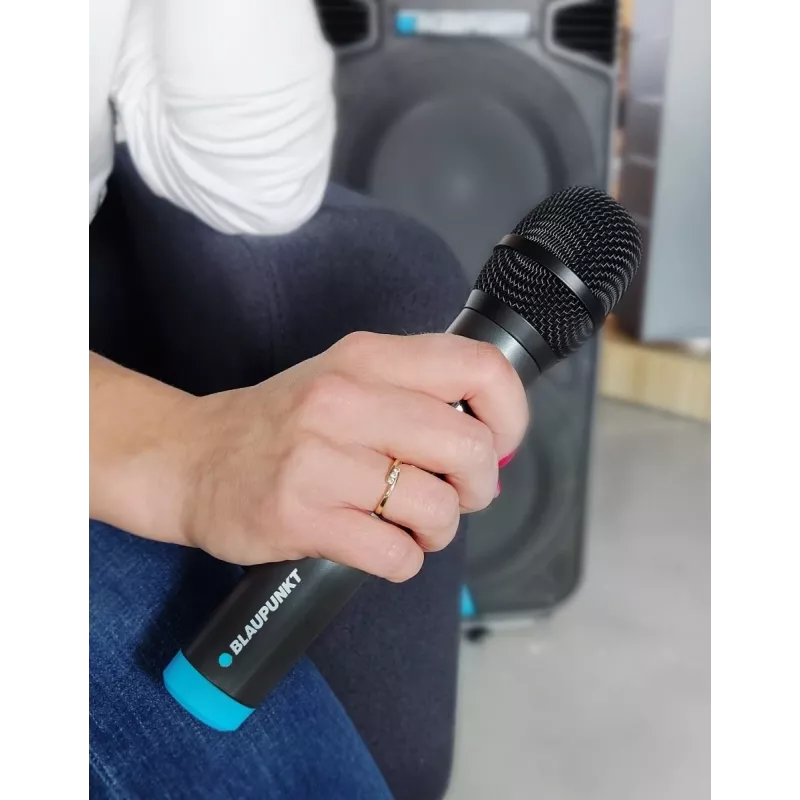 Microfone Blaupunkt WM40U