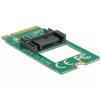 Placa de interface DeLOCK 62876 interna SATA