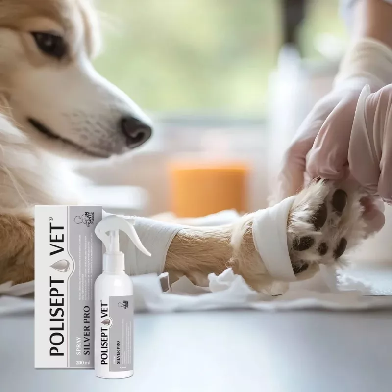 Spray antisséptico JM Sante Polisept Vet Silver Pro 200 ml — spray veterinário para feridas e pele de animais