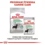 Ração seca para cães Royal Canin Mini Digestive Care 3 kg — raças pequenas, aves, adultos, apoio à digestão