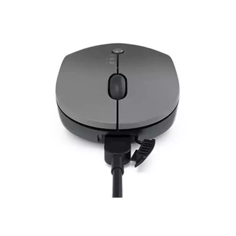 Rato Lenovo Go Wireless Multi-Device Office ambidestro RF Wireless + Bluetooth + USB Type-A ótico 2400 DPI