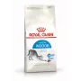 Royal Canin Indoor 27 ração seca para gatos, 2 kg