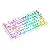 Teclado MECHANICAL SAVIO