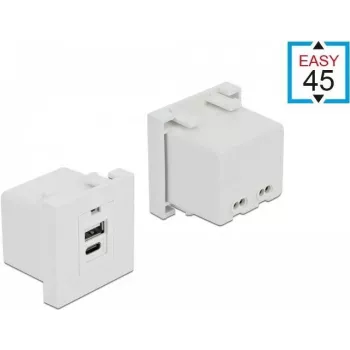Tomada USB A + USB C DeLOCK 81313