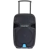 Altifalante portátil Blaupunkt PA12 650 W estéreo altifalante portátil preto