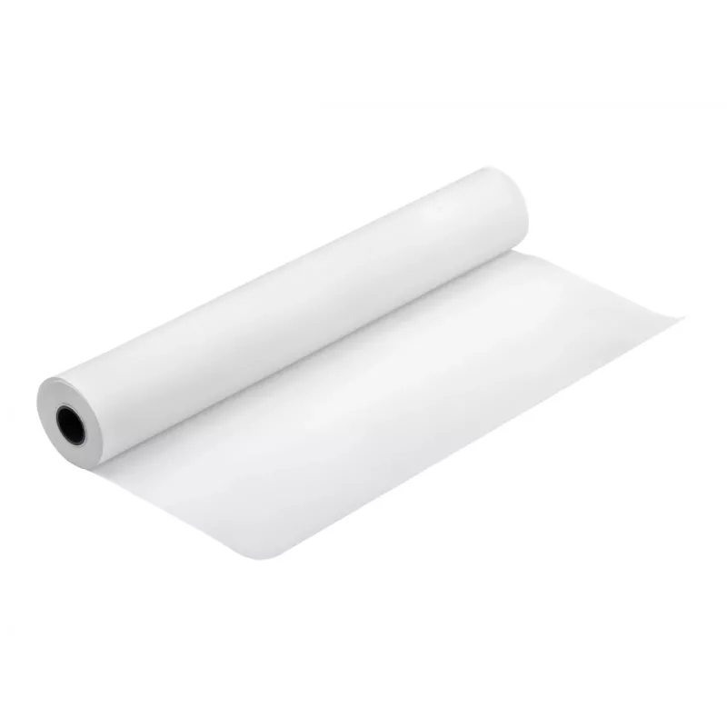 Rolo de papel mate Epson Singleweight, 17