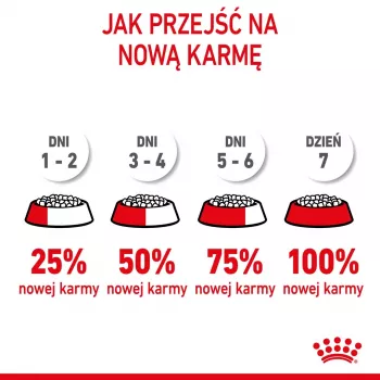 Ração seca para gatos Royal Canin Kitten 4 kg aves — ração seca júnior, 36% proteína, 18% gordura