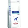 Royal Canin Renal Special - Ração seca para cães - 2 kg