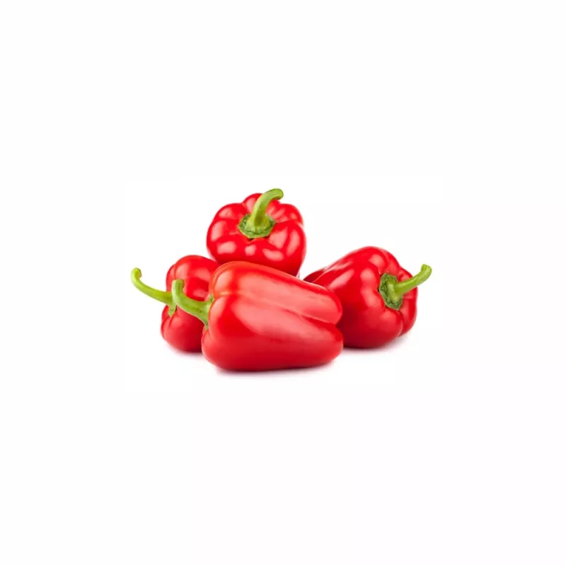 PNOS pimento Ozarowska sementes revestidas, embalagem de 50