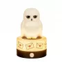 BlueSkyStudios Harry Potter - Mini candeeiro USB-C (regulável)