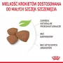 ROYAL CANIN Mini Puppy SHN comida seca para cães 2 kg