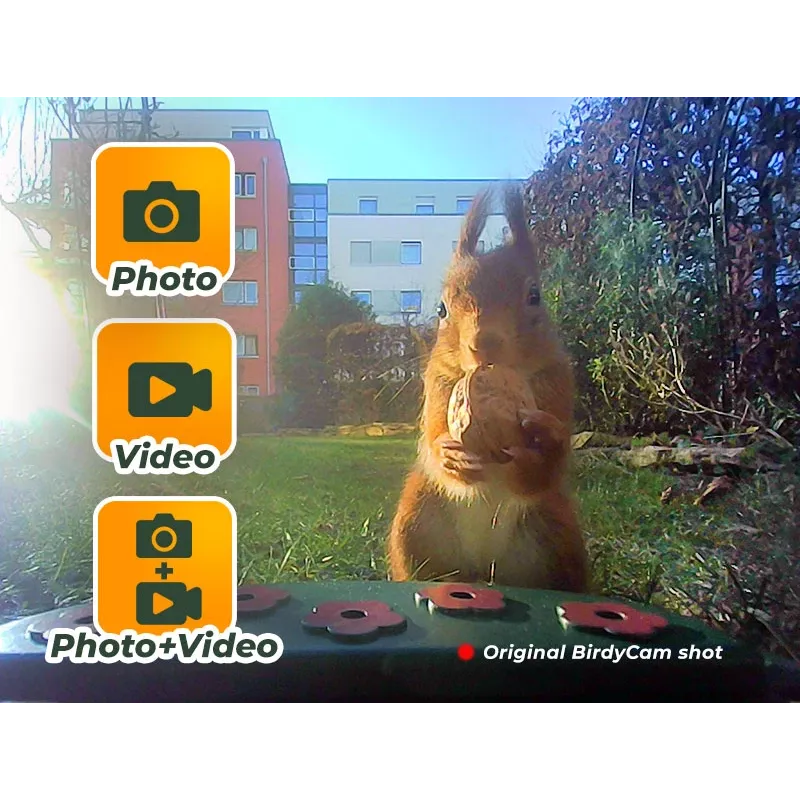 EASYPIX Bird Camera Easypix Bird Cam 10123 1080p HD visão noturna