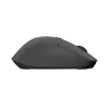 Rato sem fios NATEC KITE NMY-2347, até 4000 DPI, cliques silenciosos, roda de deslocamento inclinável, preto