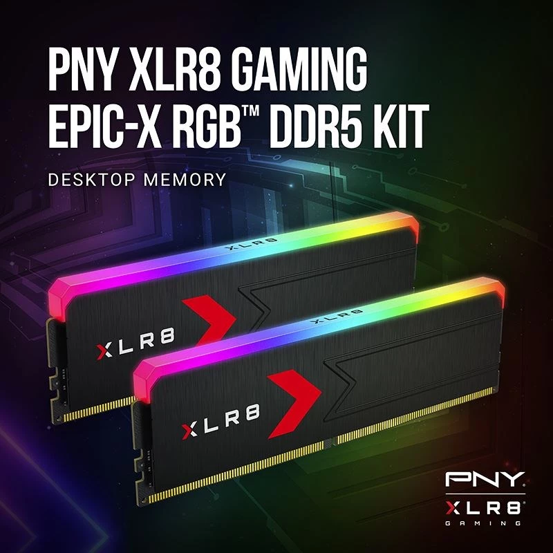 Memória PNY DDR5 32GB 5600 BULK