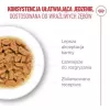 Comida húmida para gatos Royal Canin FHN Ageing 11+ Gravy 12×85 g – comida húmida completa sénior em tigelas