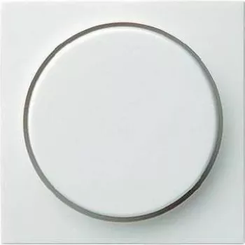 Moldura de cobertura GIRA 0650 03 — branca, moldura decorativa de uma peça