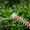TESOURA DE SEBE BD 650W/60cm/25mm