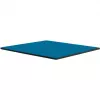 Thermal Grizzly Minus Pad Advance – almofadas térmicas, 100 × 100 × 0,5 mm, 2 unid. (TG-MP-A-100-100-05-2)